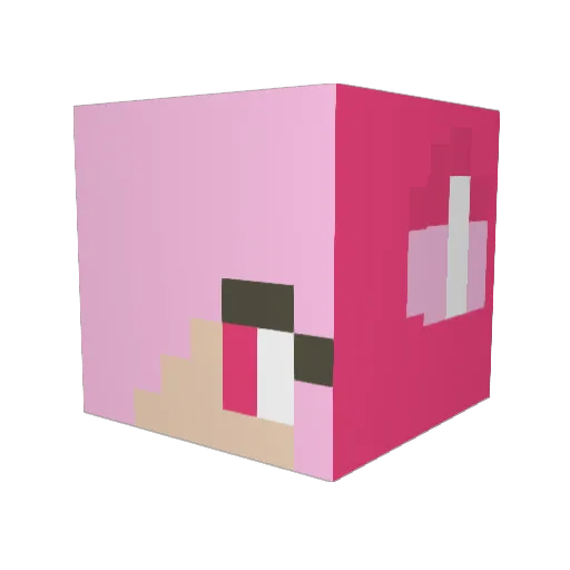 pink_fox321 Minecraft avatar head, 3D render
