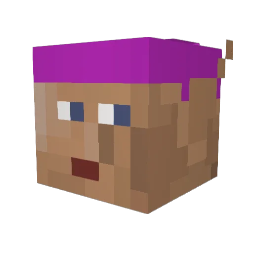 pink_gnome Minecraft avatar head, 3D render