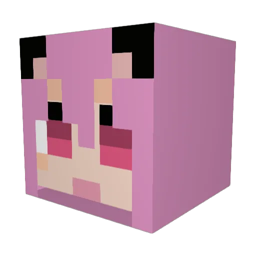 pink_pixels Minecraft avatar head, 3D render