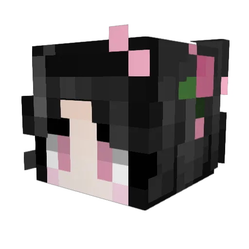 pinkblackbunny Minecraft avatar head, 3D render