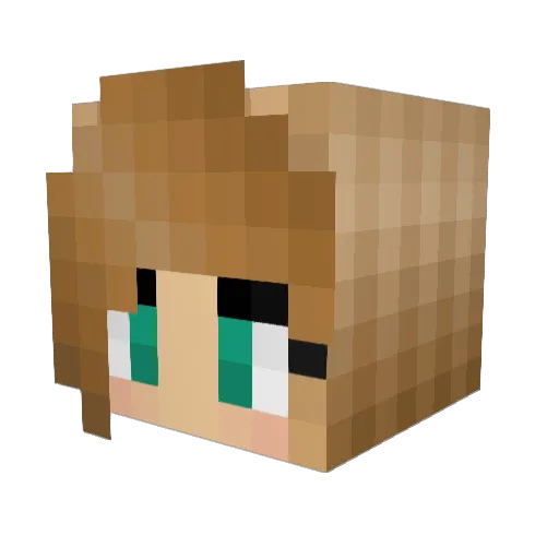 pinkblock11 Minecraft avatar head, 3D render
