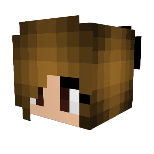 pinkbubble114 Minecraft avatar head, 3D render