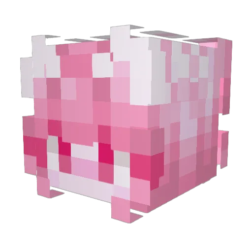 pinkcat3680 Minecraft avatar head, 3D render