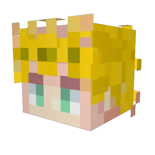 pinkcat55555 Minecraft avatar head, 3D render