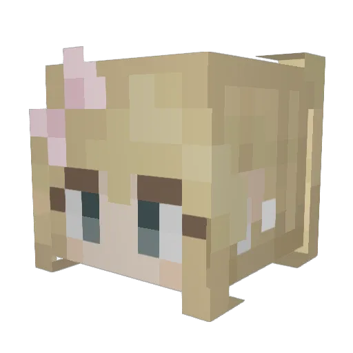 pinkcats08 Minecraft avatar head, 3D render