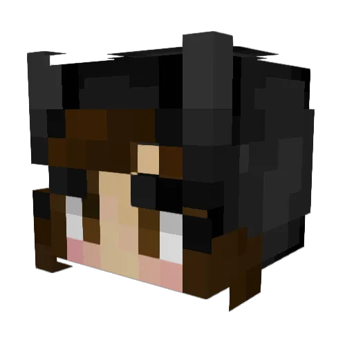 pinkcorgi17 Minecraft avatar head, 3D render