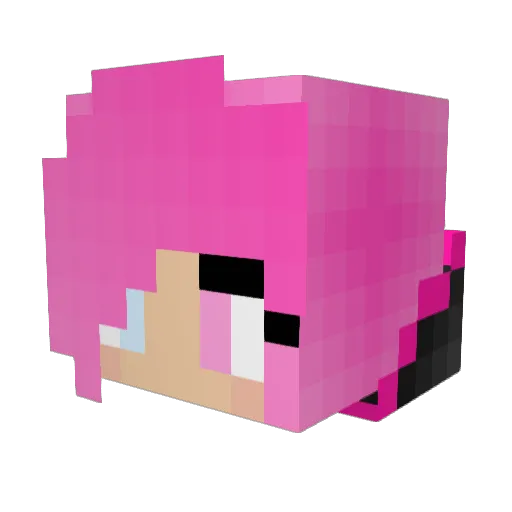 pinkdragon901 Minecraft avatar head, 3D render