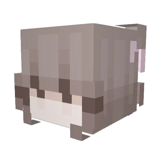 pinkedsugar Minecraft avatar head, 3D render