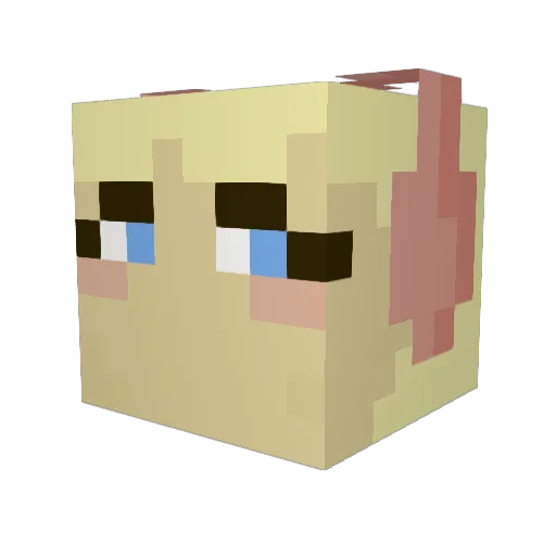 pinkelotje_ Minecraft avatar head, 3D render