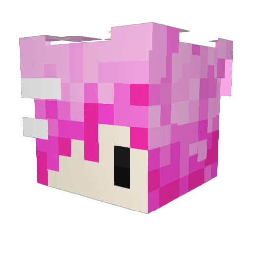 pinkevx Minecraft avatar head, 3D render