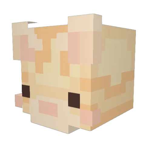 pinkfaeee Minecraft avatar head, 3D render