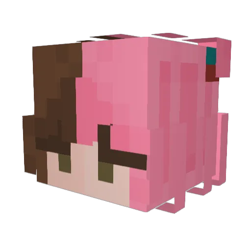 pinkfluffyseal Minecraft avatar head, 3D render
