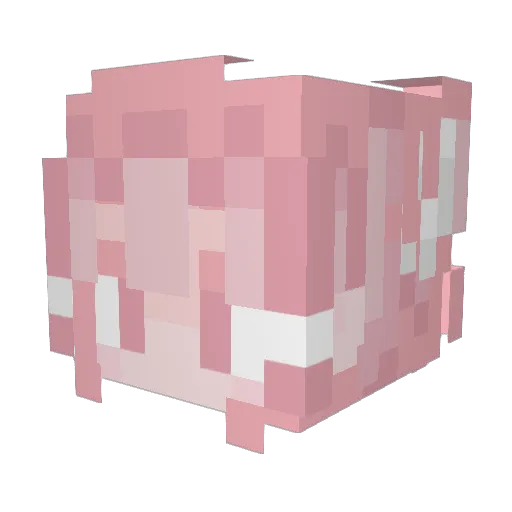 pinkhorizon Minecraft avatar head, 3D render