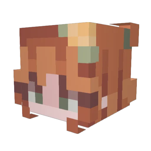 pinkie_pie1 Minecraft avatar head, 3D render