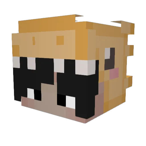 pinkietoess Minecraft avatar head, 3D render