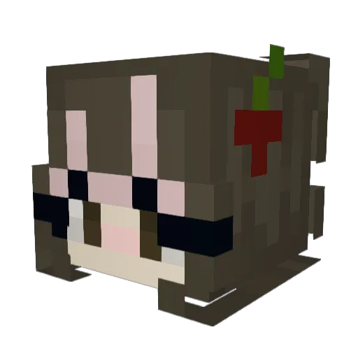 pinkkcats Minecraft avatar head, 3D render