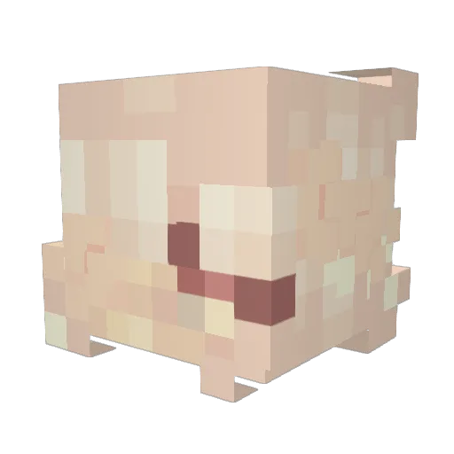 pinklem0nad Minecraft avatar head, 3D render