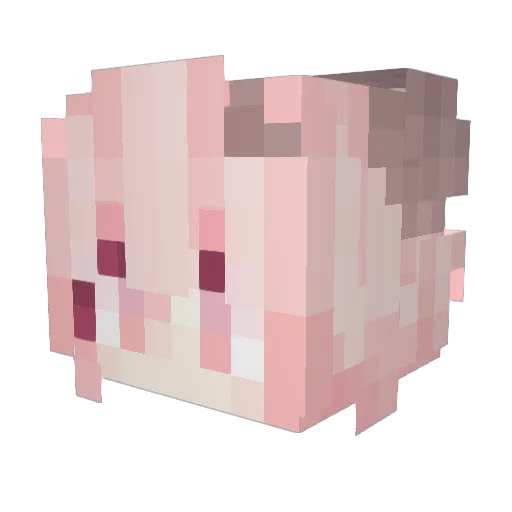 pinkmoon4818 Minecraft avatar head, 3D render