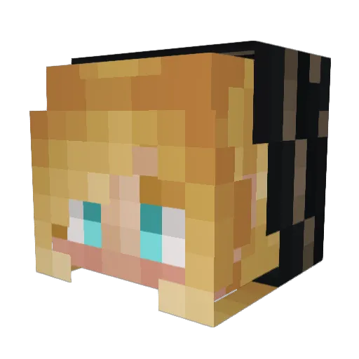 pinkninja142 Minecraft avatar head, 3D render