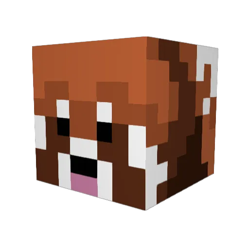 pinkorz Minecraft avatar head, 3D render