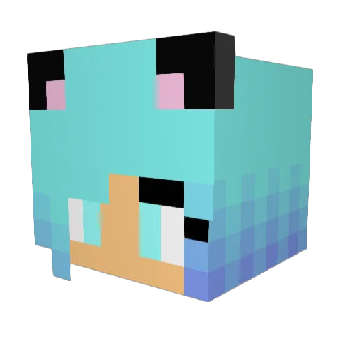 pinkpanda65 Minecraft avatar head, 3D render