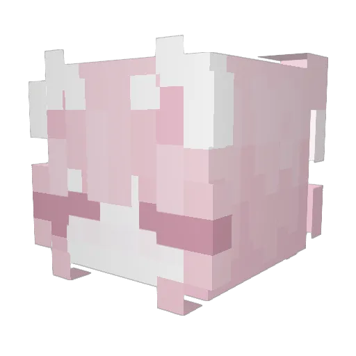 pinkpawsocks Minecraft avatar head, 3D render