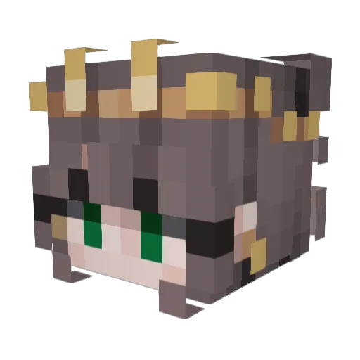 pinkpig008 Minecraft avatar head, 3D render