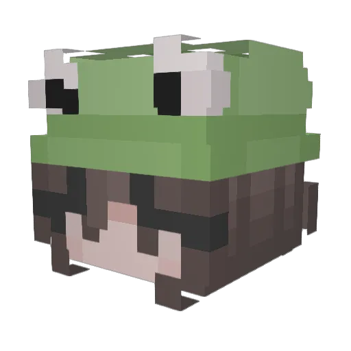 pinkpopsical Minecraft avatar head, 3D render