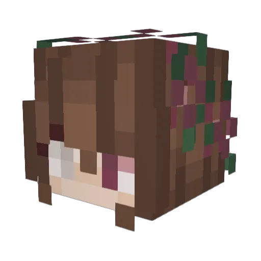 pinkrose_ Minecraft avatar head, 3D render