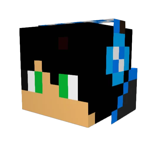 pinkshoeboy Minecraft avatar head, 3D render