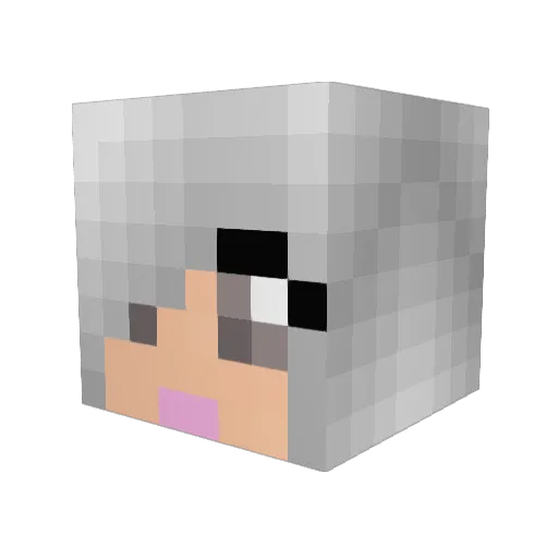 pinkster102 Minecraft avatar head, 3D render