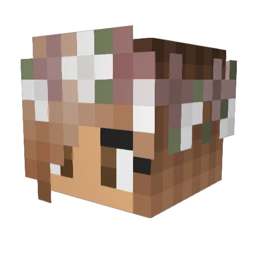pinkthunder14 Minecraft avatar head, 3D render