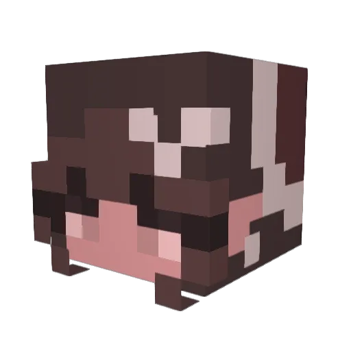 pinktink Minecraft avatar head, 3D render