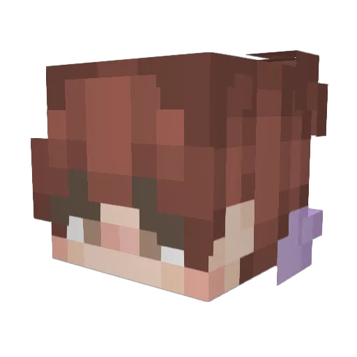pinktoxicboi Minecraft avatar head, 3D render