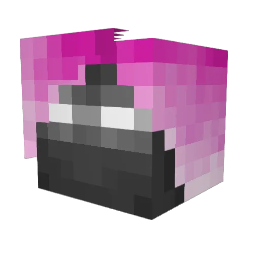 pinktreeble Minecraft avatar head, 3D render