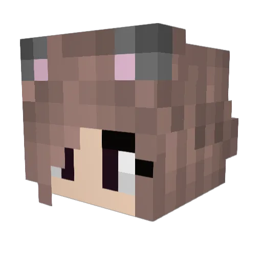 pinkunicorn1013 Minecraft avatar head, 3D render
