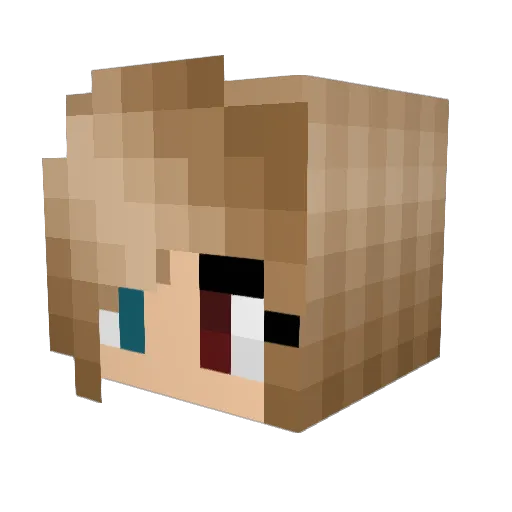 pinkzebra022 Minecraft avatar head, 3D render
