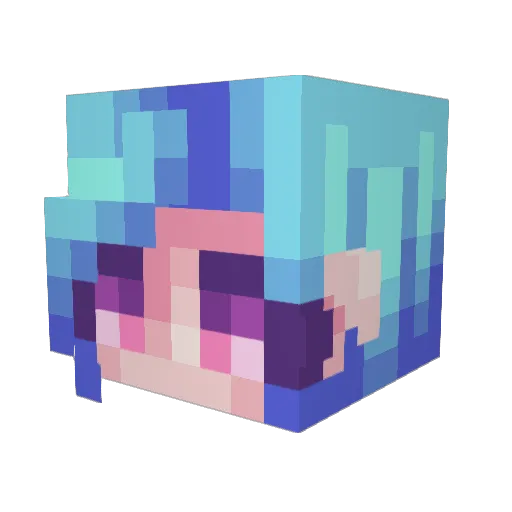 pinnipedia Minecraft avatar head, 3D render