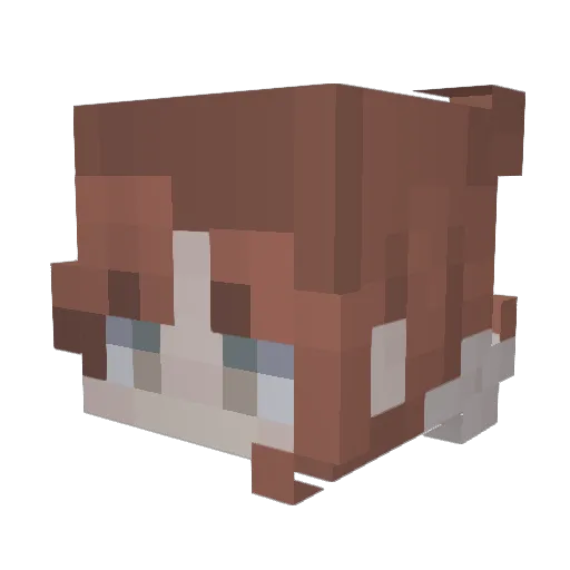 pinoccino Minecraft avatar head, 3D render