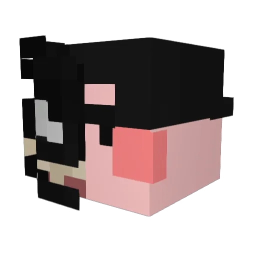 pinocheta Minecraft avatar head, 3D render