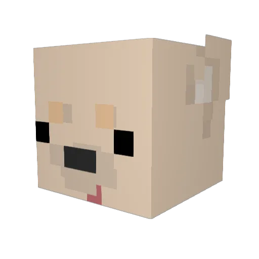 pinpin520 Minecraft avatar head, 3D render