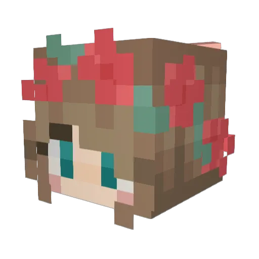 pinto_bean_5 Minecraft avatar head, 3D render