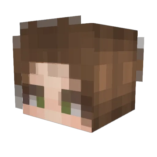 pintomocha Minecraft avatar head, 3D render