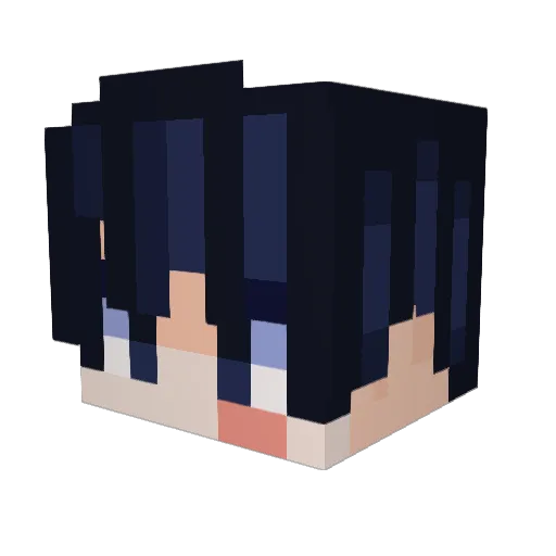 pinuinoG Minecraft avatar head, 3D render