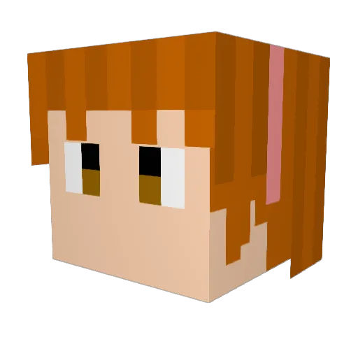 pinus77 Minecraft avatar head, 3D render