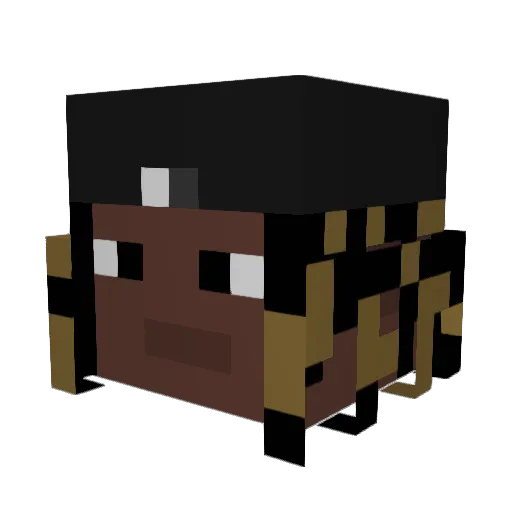 pinwins Minecraft avatar head, 3D render
