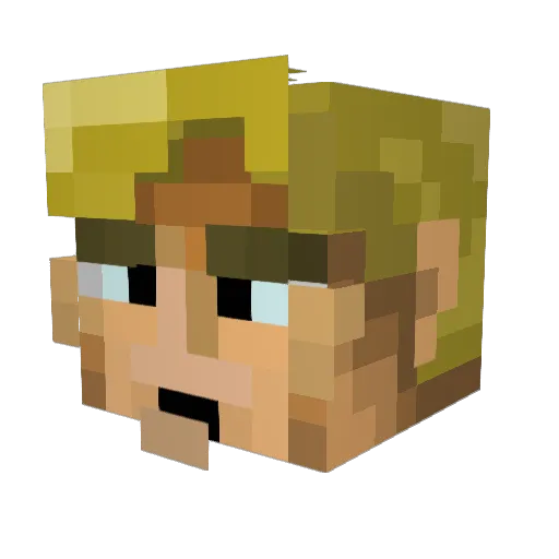 pio4000 Minecraft avatar head, 3D render