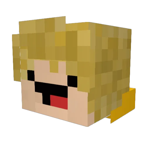 piorun4451 Minecraft avatar head, 3D render
