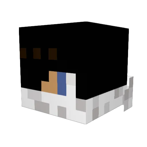 piouspoppy41355 Minecraft avatar head, 3D render