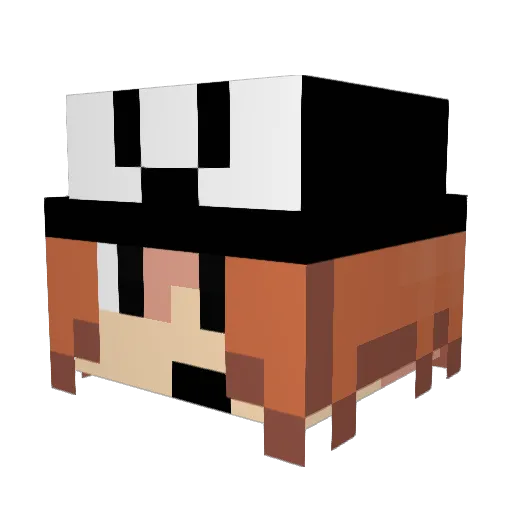 pip0pat Minecraft avatar head, 3D render